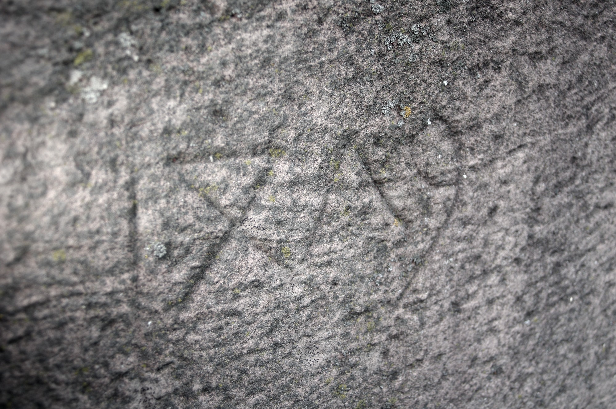 Detailbild